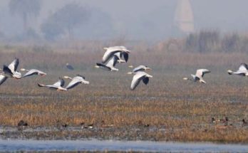 ΕΝΗΜΕΡΩΤΙΚΟ για το ΔΣ ΔΟΕ 21/4/26 , τις πλειοψηφικές αποφάσεις χαμηλών πτήσεων    και τις «μη αποφάσεις»