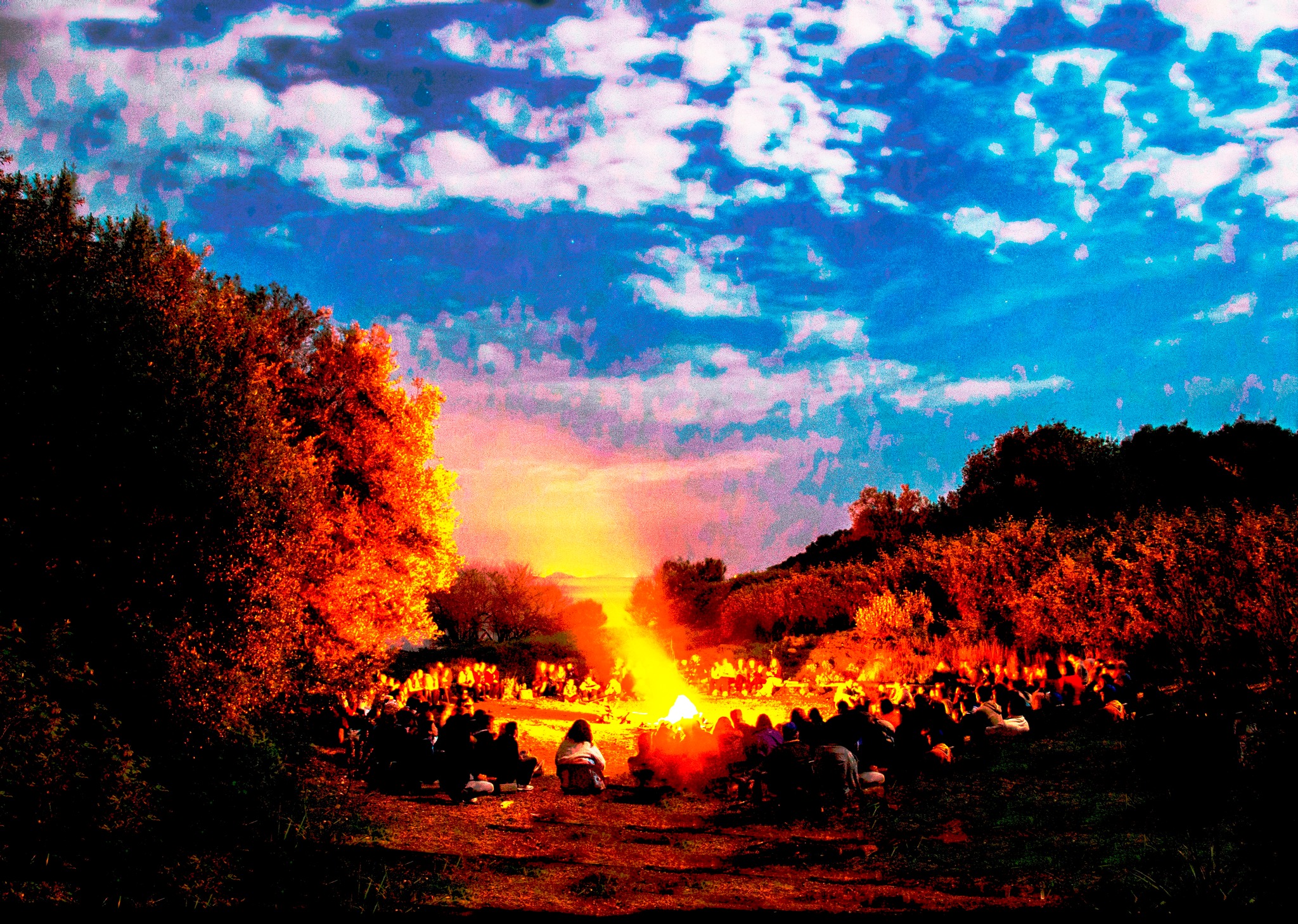 Το μαύρο ψάρι