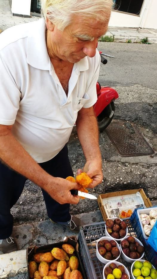 Φρεσκαμέντο παυλόσουκα!