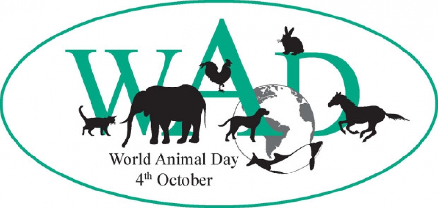 4Οκτωβρίου Παγκόσμια Ημέρα των Ζώων