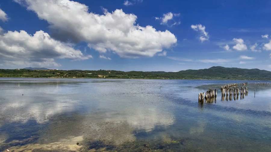 Κορίσσια: Η λιμνοθάλασσα της Κέρκυρας με τους αμμόλοφους και το δασάκι των κέδρων