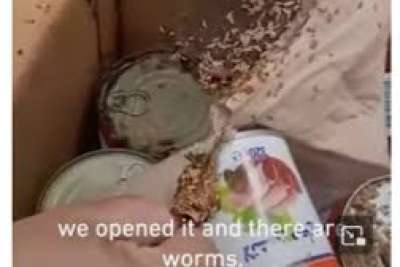 Το WFP έστειλε στη Γάζα κονσέρβες με… σκουλήκια