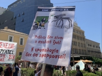 Δυναμικό & Μαζικό πανεκπαιδευτικό συλλαλητήριο στο κέντρο της Αθήνας (Εικόνες-Βίντεο)