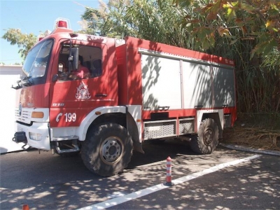 Αυτοκίνητο πήρε φωτιά πέφτοντας σε δέντρο