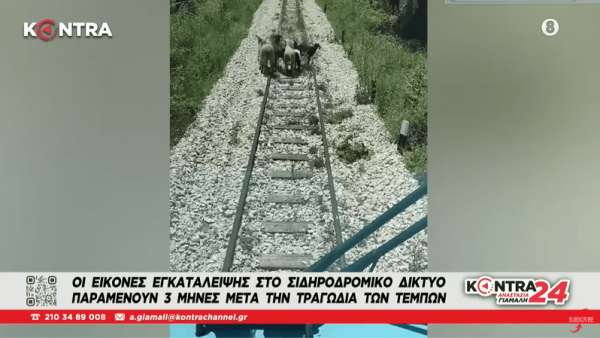Το χάλι των τρένων σε 14 εικόνες, 3 μήνες μετά τα Τέμπη
