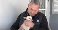 Τυφλή σκυλίτσα περπάτησε πέντε ημέρες για να βρει τον άνθρωπο που την έσωσε [βίντεο]