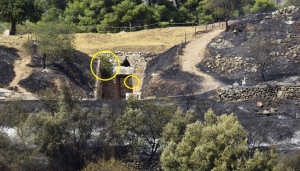 Σύλλογος Εκτάκτων Αρχαιολόγων (Σ.ΕΚ.Α.): «Ριζική αποψίλωση» – Για την πυρκαγιά στον αρχαιολογικό χώρο των Μυκηνών