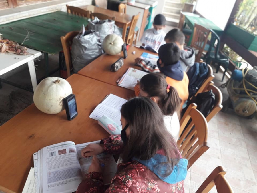 Εικόνες ντροπής με 5 παιδάκια στο χωριό Πεύκη  να προσπαθούν χωρίς ίντερνετ μέσα στο κρύο, στην αυλή ενός καφενείου με ένα κινητό να κάνουν μάθημα!