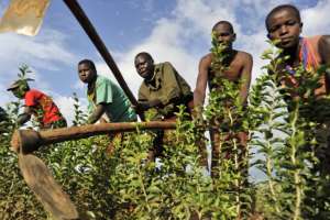 Εργάτες από το Μαλάουι αναλαμβάνουν να συντηρήσουν την οικονομία του Ισραήλ