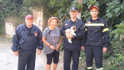 Διάσωση σκύλου στον Άγιο Μάρκο