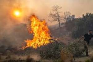 Δύσκολη η νύχτα στην Ηλεία-Νεκρός 55χρονος στο χωριό Μυρτιά που κατέρρευσε στο μέτωπο της φωτιάς