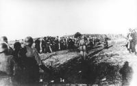 Οι Ναζί εκτέλεσαν μια ολόκληρη τάξη γυμνασίου και τους μικρούς λούστρους  - Η σφαγή του Κραγκούγιεβατς όπου χάθηκαν 2.800 Σέρβοι...