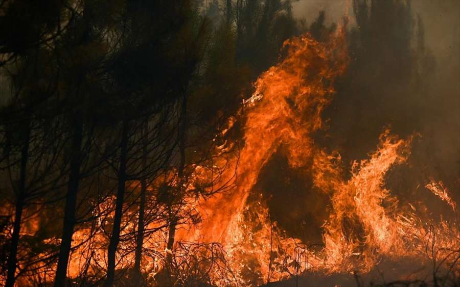 Ρεκόρ καμένων από δασικές πυρκαγιές ήδη για φέτος στην Ευρώπη