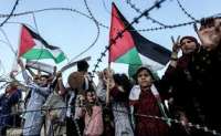 ΕΛΜΕ Κέρκυρας: Αλληλεγγύη στο Λαό της Παλαιστίνης