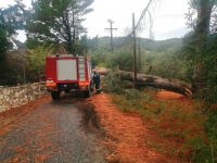 Προβλήματα στην Κέρκυρα - Ξεριζώθηκαν δέντρα από τους θυελλώδεις ανέμους