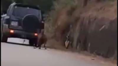 Κτηνωδία στη Ζάκυνθο: Έσερνε κατσίκα με το αυτοκίνητό του (ΒΙΝΤΕΟ)
